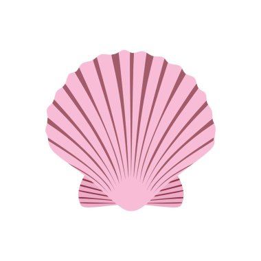 Neşter Deniz Kabuğu Vektörü. Beyaz arkaplanda okyanus yumuşakçaları deniz kabuğu.