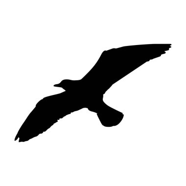 Siyahlı martı silueti. Uçan martı silueti beyaz arka planda izole edildi. Kara Deniz Kuşu. Vektör illüstrasyonu