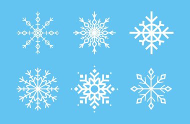 vector illustration of snowflakes icon
