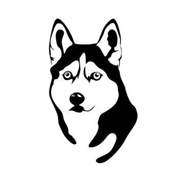 vector illustration of Siberian Husky head