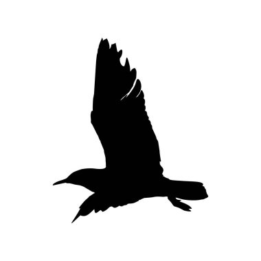 Silhouette of a flying seagull in black. Seagull silhouette isolated on white background. Sea bird on black. Vector illustration