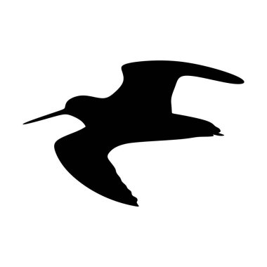 Silhouette snipe in black. Flying Snipe silhouette isolated on white background. Black bird Gallinago. Gallinago Vector illustration.