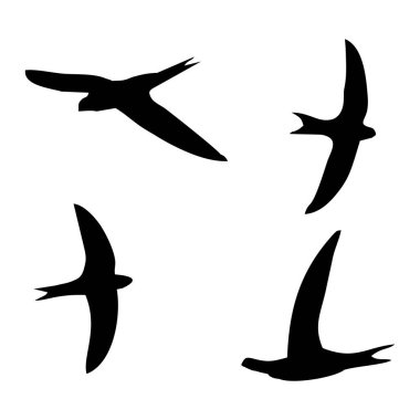 Silhouette Swift in black. Flying swift silhouette isolated on white background. the most flying bird in the world. Vector illustration