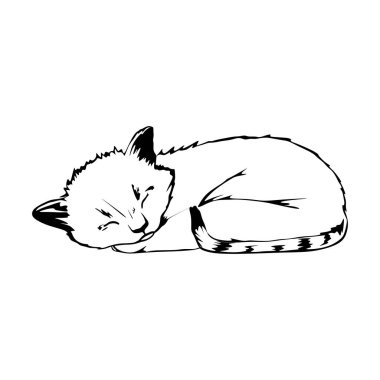 sleeping cat vector sketch, black and white
