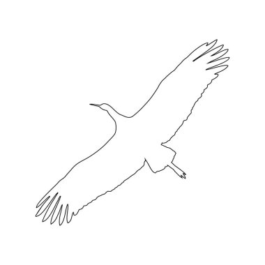 Stork in flight linear silhouette. Hand drawn flying stork silhouette. Bird in the sky. Design for symbol and logo. vector illustration