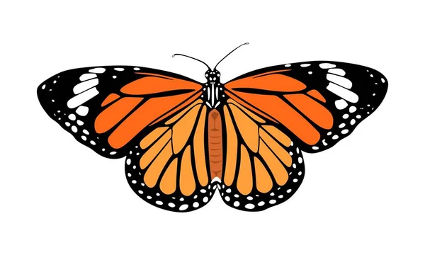 Tropical elegant butterfly with colorful wings isolated on white background. Pretty flying moth top view. Gorgeous exotic spring insect. Colored textured vector illustration
