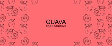 Vector frame with Guava. Guava fruit background. Hand drawn illustrations. vectro eps10