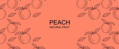 Vector frame with peaches and leaves. Peach fruit background. Apricot vector seamless pattern. Hand drawn illustration