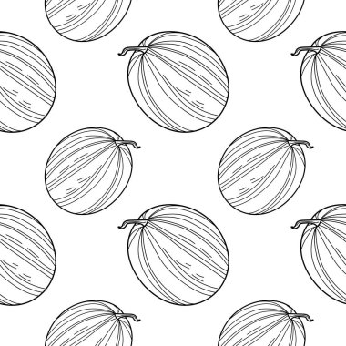 Watermelon seamless pattern. Linear Watermelon Seamless pattern, background for print. vector illustration.