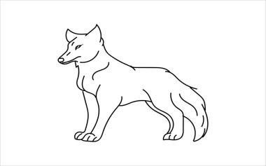 Wolf in linear style. Hand drawn Wolf isolated on white background. Animal vector illustration.