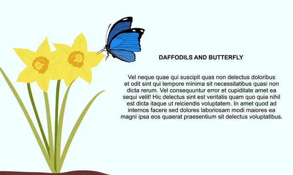 Yellow daffodils flowers with a blue butterfly on blue background