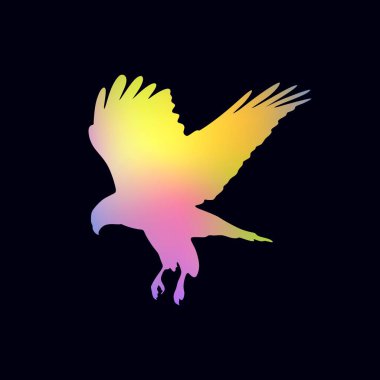 Kuş silueti. Renkli Şahin sembolü. Pürüzsüz renklerdeki yaygın şahin kuşu izole edildi. vektör illüstrasyonu