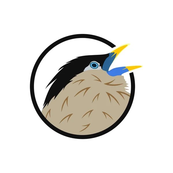 Дизайн Логотипу Птаха Формі Кола — стоковий вектор