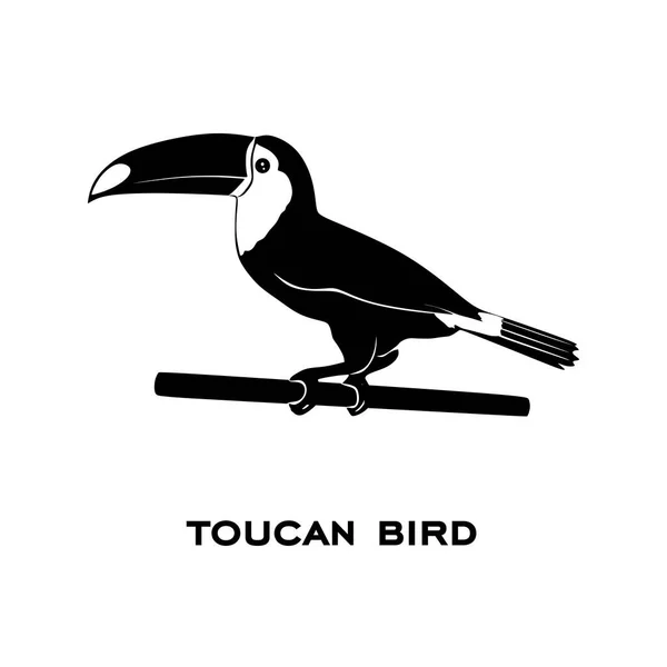 Όμορφη Μαύρη Εικόνα Του Τουκάν Διανυσματική Απεικόνιση Λογότυπο Πτηνών — Διανυσματικό Αρχείο