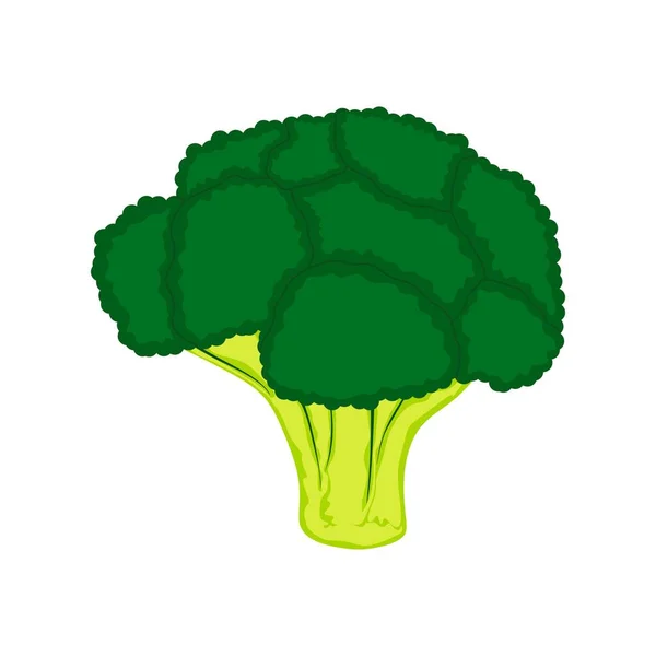 Broccoli Testa Illustrazione Broccoli Stile Piatto Icona Sfondo Bianco — Vettoriale Stock