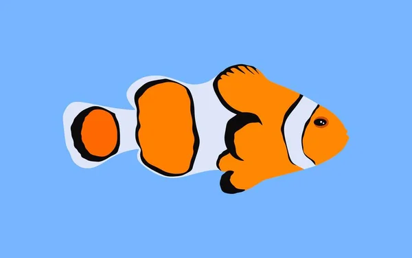 Illustration Cute Tropical Clownfish Flat Style — Stock Vector