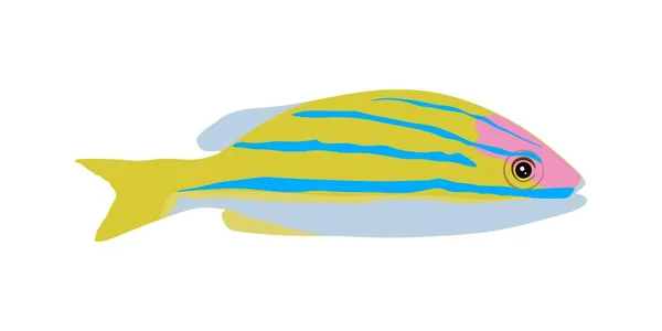 Ilustrace Roztomilé Ryby Společné Bluestripe Snapper — Stockový vektor