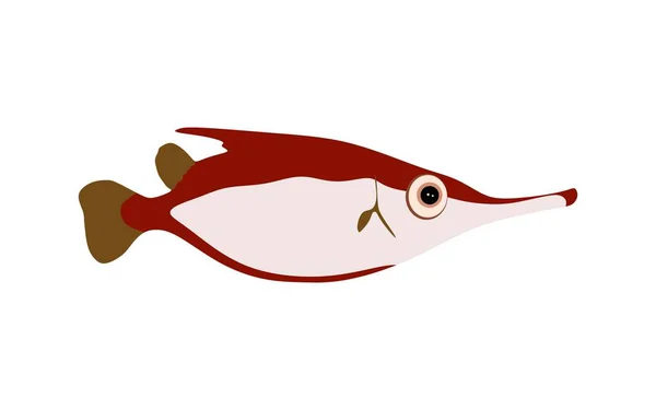 Fish Flat Style Fish Illustration Isolated White Background Vector Illustration — Stock Vector