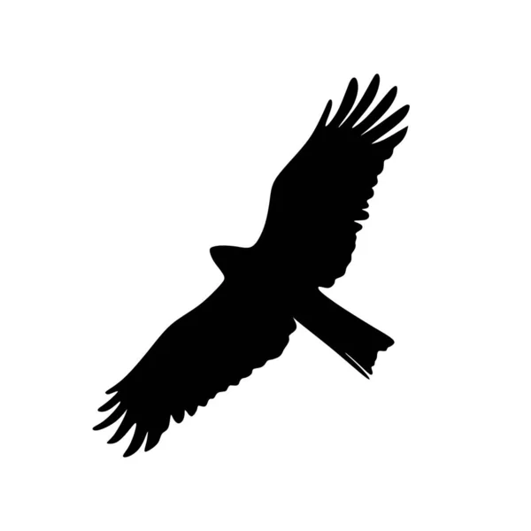Silhouette Aigle Ailes Avec Aile Silhouette Aigle Volant — Image vectorielle