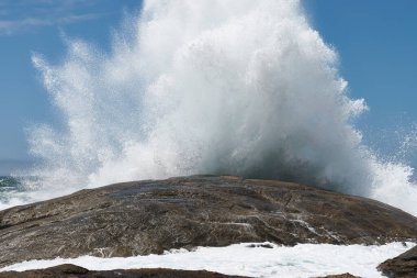 Vahşi dalgalı bir deniz