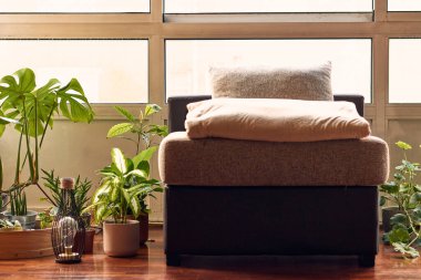 Interior garden with plants, a lamp and a couch