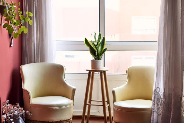 Rest space with armchairs, plants and a stool