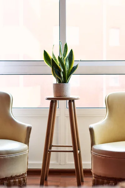 Rest space with armchairs, plants and a stool