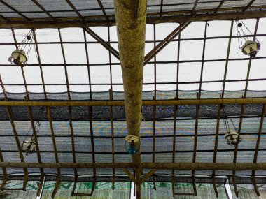 Doğal ışık kaynağıyla ahşap çatı kirişleri ve geleneksel avizeler. İç mekan tasarım fikri.