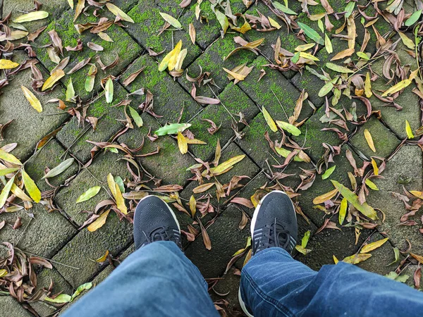Man sneakers on dry fallen leaves on the mossy sidiwalk paved. Selective focus image