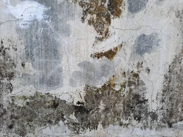 Abstract background of moldy wall