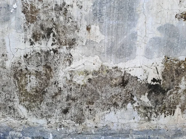 Abstract background of moldy wall
