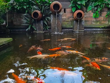 Artificial koi pond with water pots fountain and plants arounds, suitable for home backyard or garden design. Selective focus image