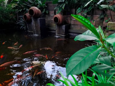 Artificial koi pond with water pots fountain and plants arounds, suitable for home backyard or garden design. Selective focus image