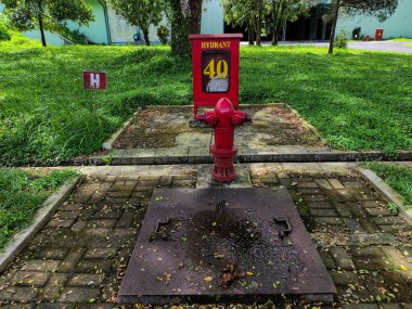 Red fire hydrant sits in the yard near the building with grass around