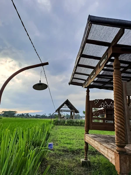Blick Auf Den Rand Der Reisfelder Mit Traditionellem Javanischen Holzhaus — Stockfoto
