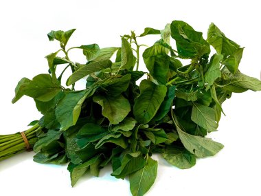 Taze ıspanak, yapraklı sebze, beyaz arka planda izole edilmiş.