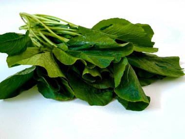 Yeşil hardal, yapraklı sebze, beyaz arka planda izole edilmiş.