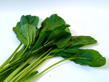 Yeşil hardal, yapraklı sebze, beyaz arka planda izole edilmiş.