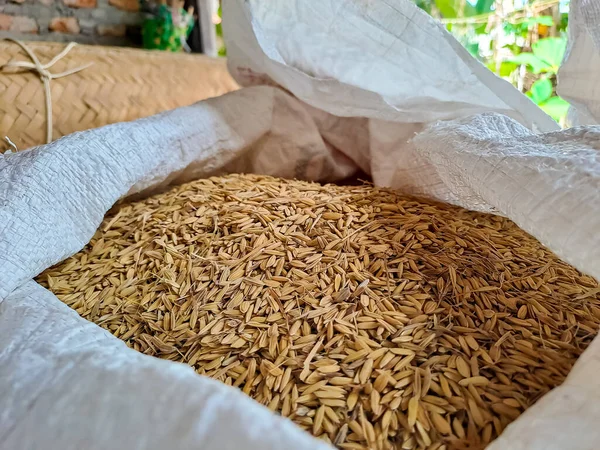 Незріджений Довгий Зерновий Рис Зберігається Мішку — стокове фото