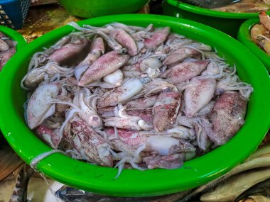 Geleneksel balık pazarında satılık taze mürekkep balığı.