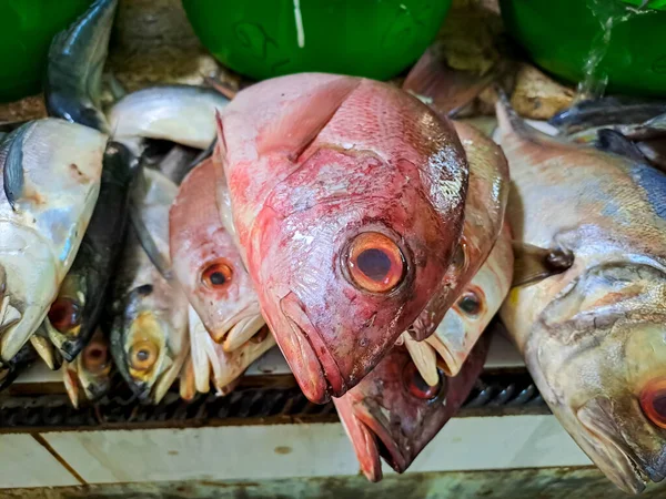 Zblízka Pohled Čerstvé Ryby Prodej Tradičním Rybím Trhu — Stock fotografie