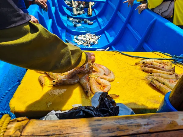 看到人们手牵着船挑选和购买渔夫的渔获物 — 图库照片