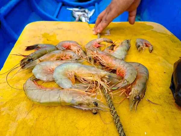 渔民捕获的鲜虾在船上出售 — 图库照片