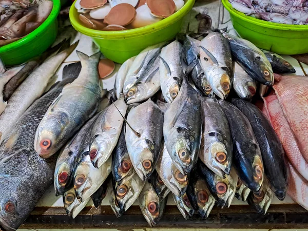 Peixes Frescos Para Venda Mercado Tradicional Peixe — Fotografia de Stock