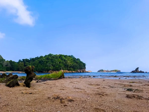 夏の休暇中に澄んだ青い空の下で砂 岩や緑の植生と美しいビーチで低潮 インドネシアのマラン島コンダン メラク ビーチ — ストック写真