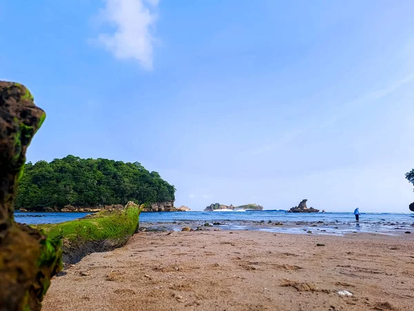 夏の休暇中に澄んだ青い空の下で砂 岩や緑の植生と美しいビーチで低潮 インドネシアのマラン島コンダン メラク ビーチ — ストック写真
