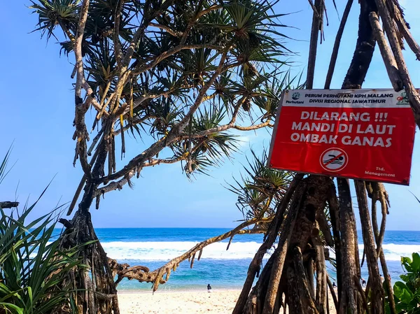 海岸近くの木の上に置かれた警告板は インドネシア語で書かれた 浜辺で泳ぐことは許されない — ストック写真