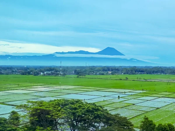 Несконцентрированный Вид Сельскую Местность Утром Горным Зеленым Рисовым Полем Облачным — стоковое фото