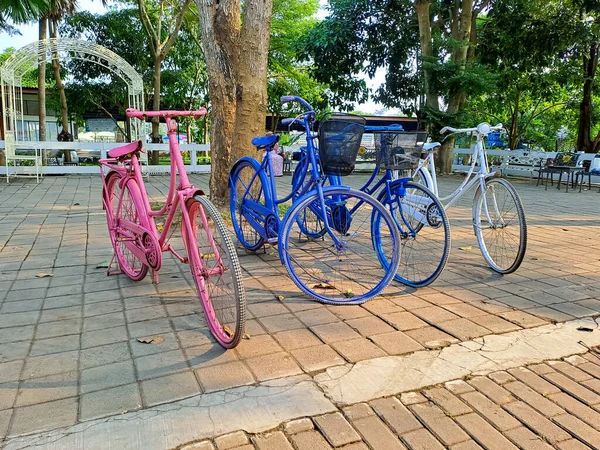 Färgglada Cykel Parkering Stadsparken Med Gröna Träd Runt — Stockfoto