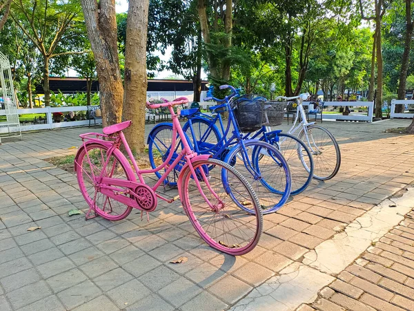 五彩斑斓的自行车停放在城市公园里 周围绿树成荫 — 图库照片